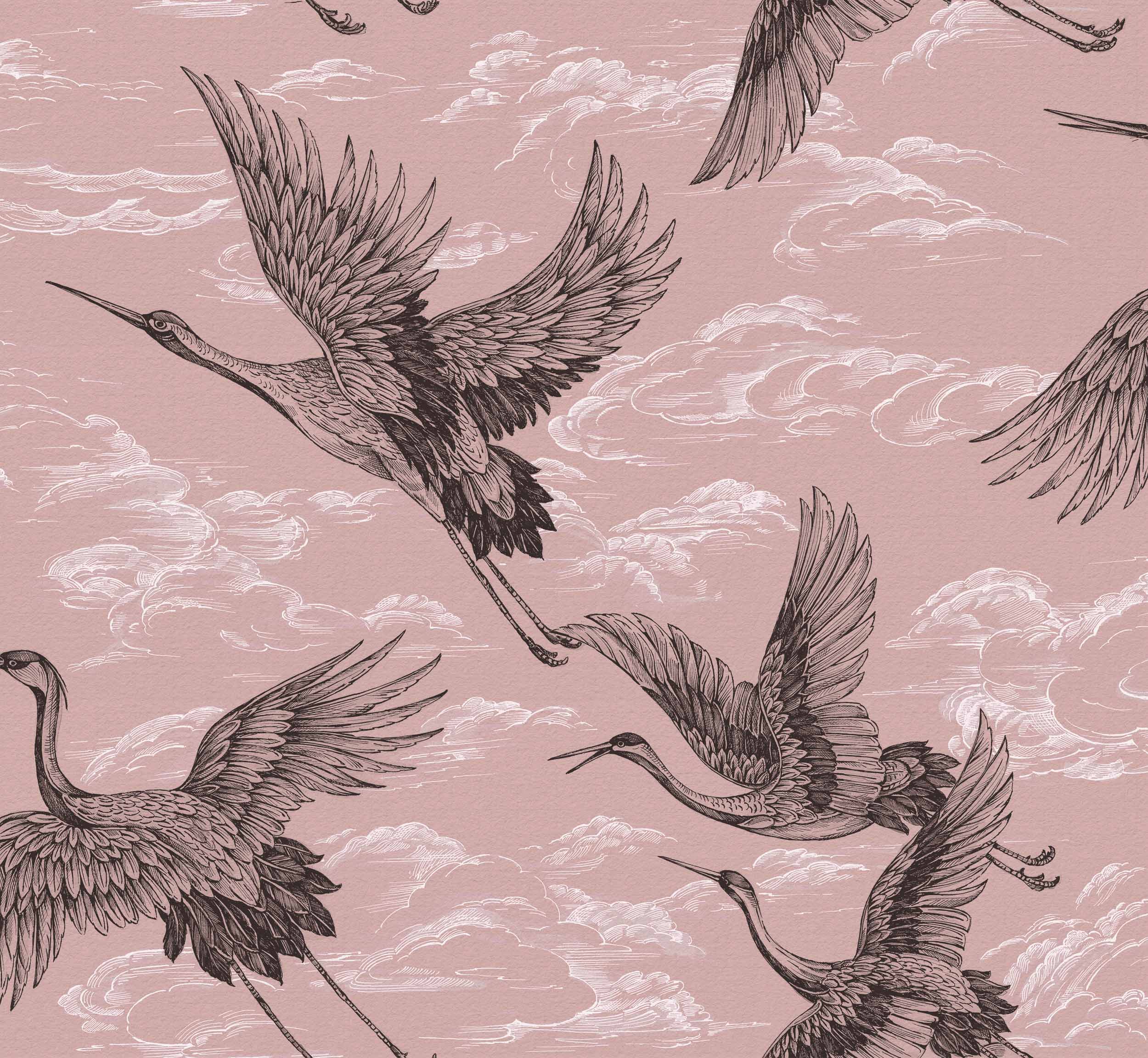 Imperial Ibis, Rose, Coordonne 5mp / rola